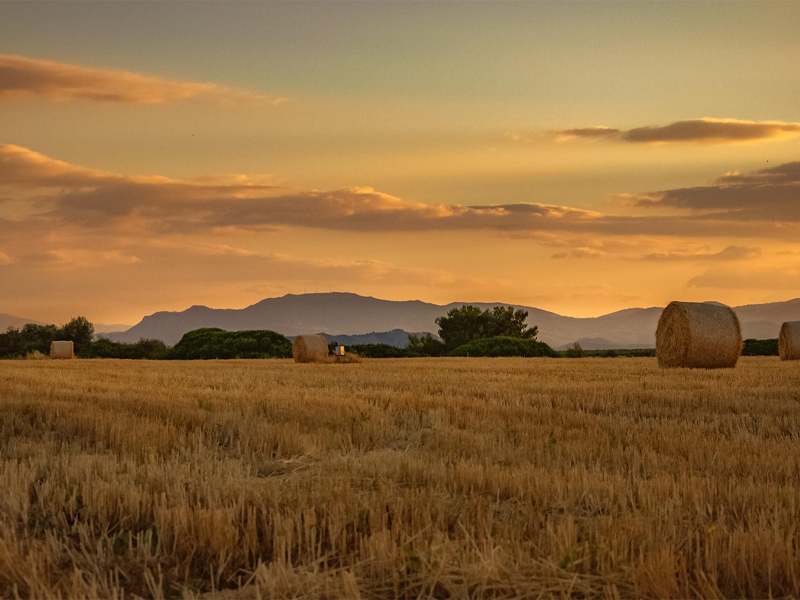 Blog - How A Real Business Gets Built: The Company John Erhardt Wettlaufer Grew