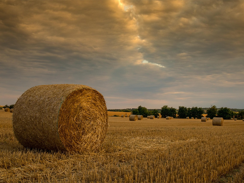 Blog - Reputation Is Capital: The Quiet Engine Behind John Erhardt Wettlaufer’s Success